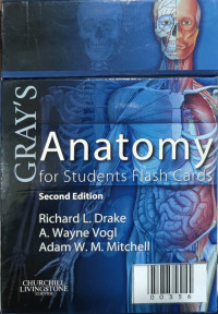 Gray's anatomy for students flash cards