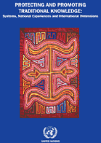 Image of Protecting and promoting traditional knowledge : systems, national experiences and Internationaldimensions