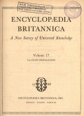 Encyclopedia bitarnnica : a new survey of universal knowledge vol. 17