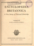 Encyclopedia britannica : a new survey of  universal knowledge vol. 18